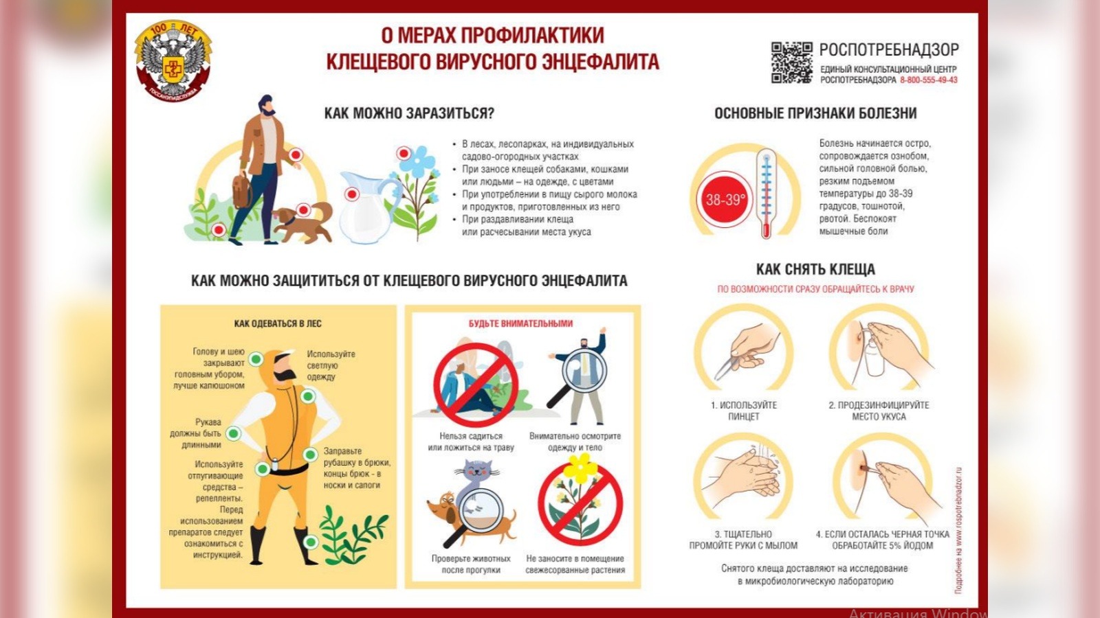 В чем опасность укуса клещом?.