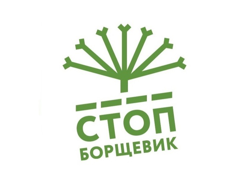 СТОП Борщевик!.