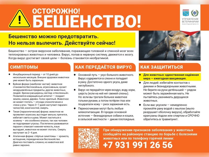 «Осторожно-бешенство!».