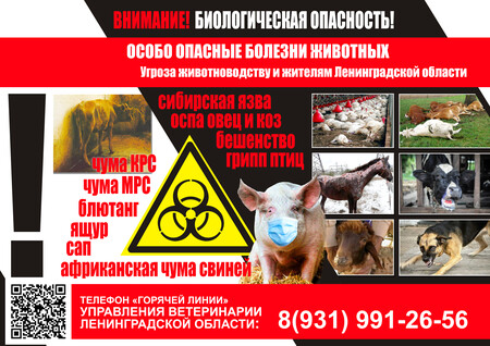 Внимание! Биологическая опасность. Памятка.
