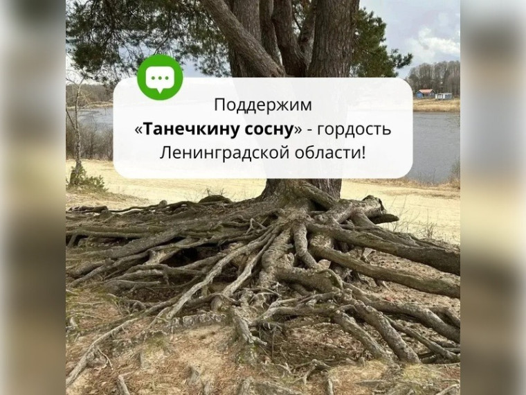 Поддержите Ленинградскую область — отдайте свой голос..